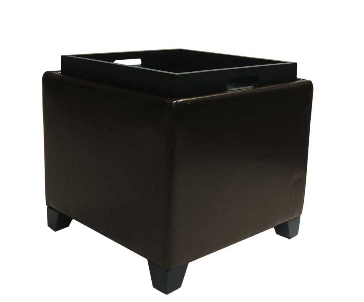 Armen Living Contemporary Storage Ottoman with Tray - Brown