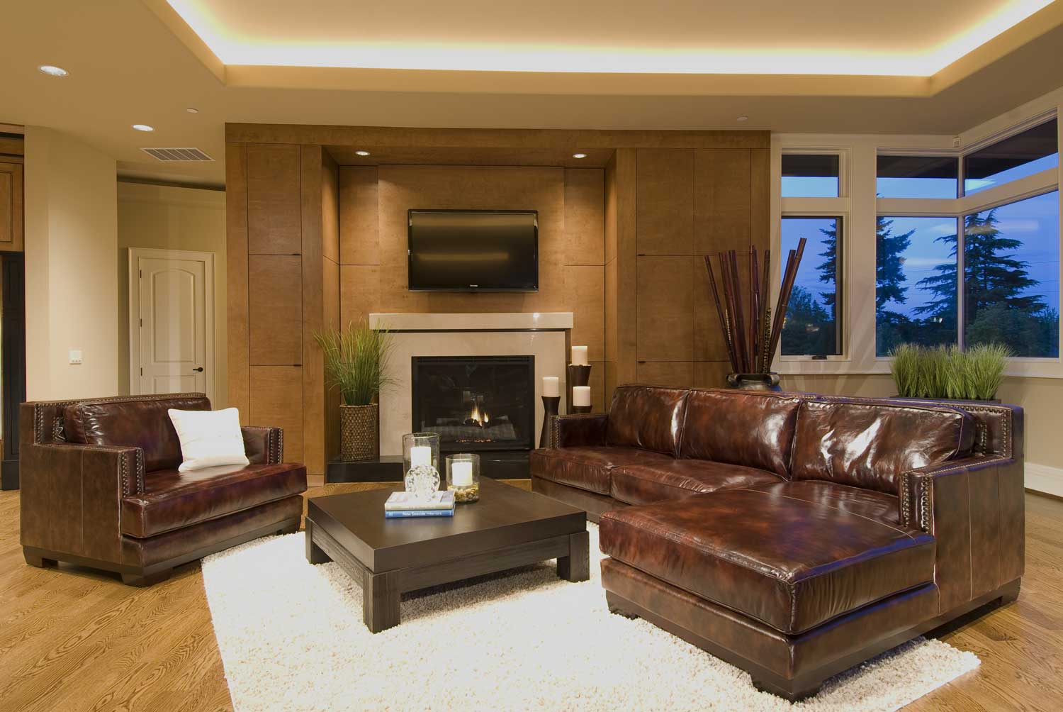 ELEMENTS Fine Home Furnishings Davis 2Piece Top Grain Leather