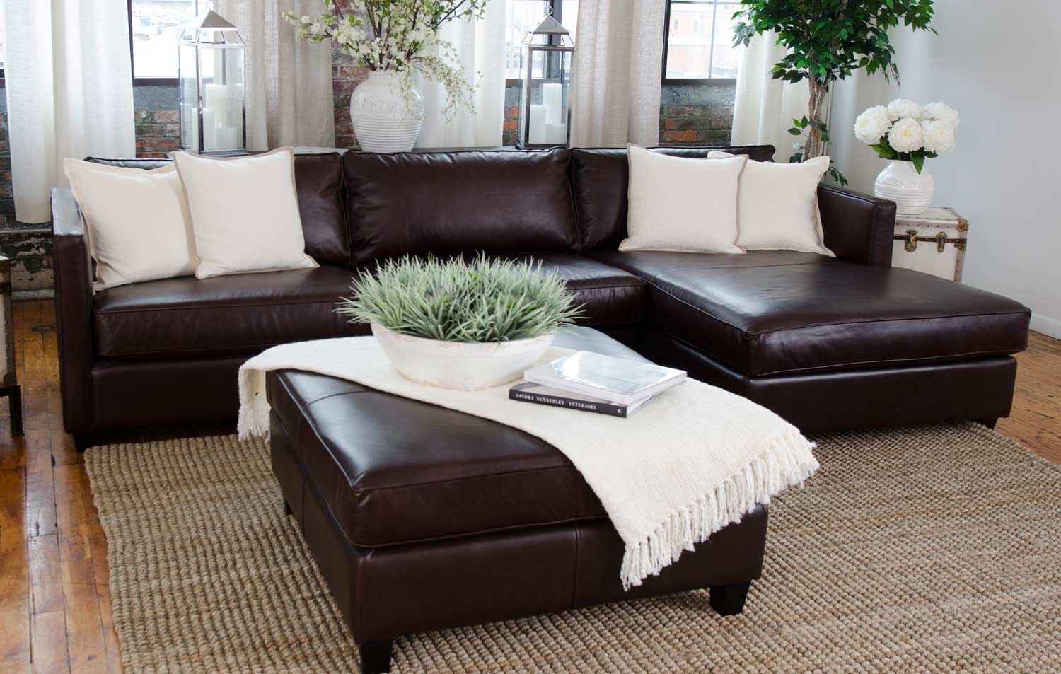 ELEMENTS Fine Home Furnishings Urban 2-Piece Top Grain Leather Collection - Cappuccino
