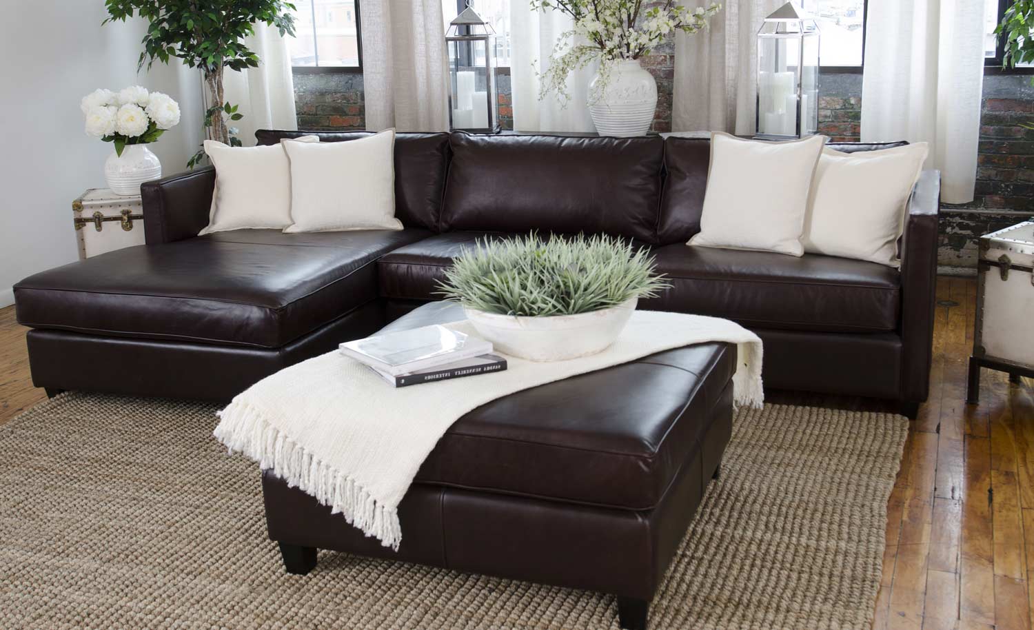 ELEMENTS Fine Home Furnishings Urban 2-Piece Top Grain Leather Collection - Cappuccino