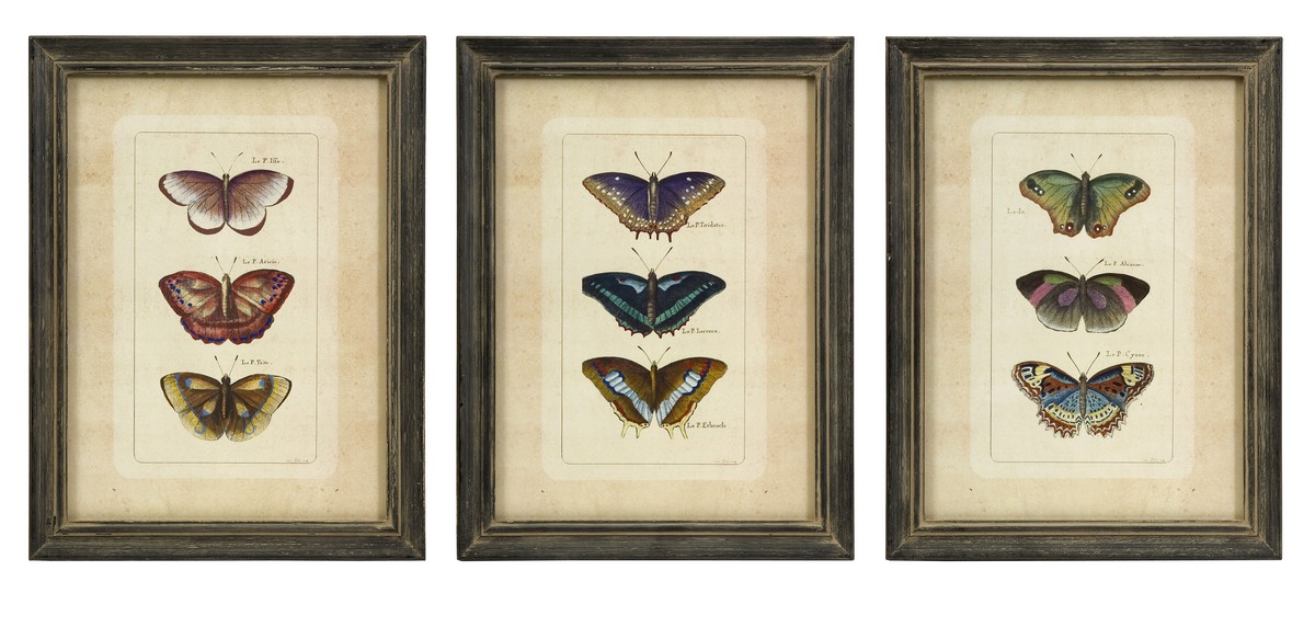 IMAX Butterfly Collection Wall Art - Set of 3