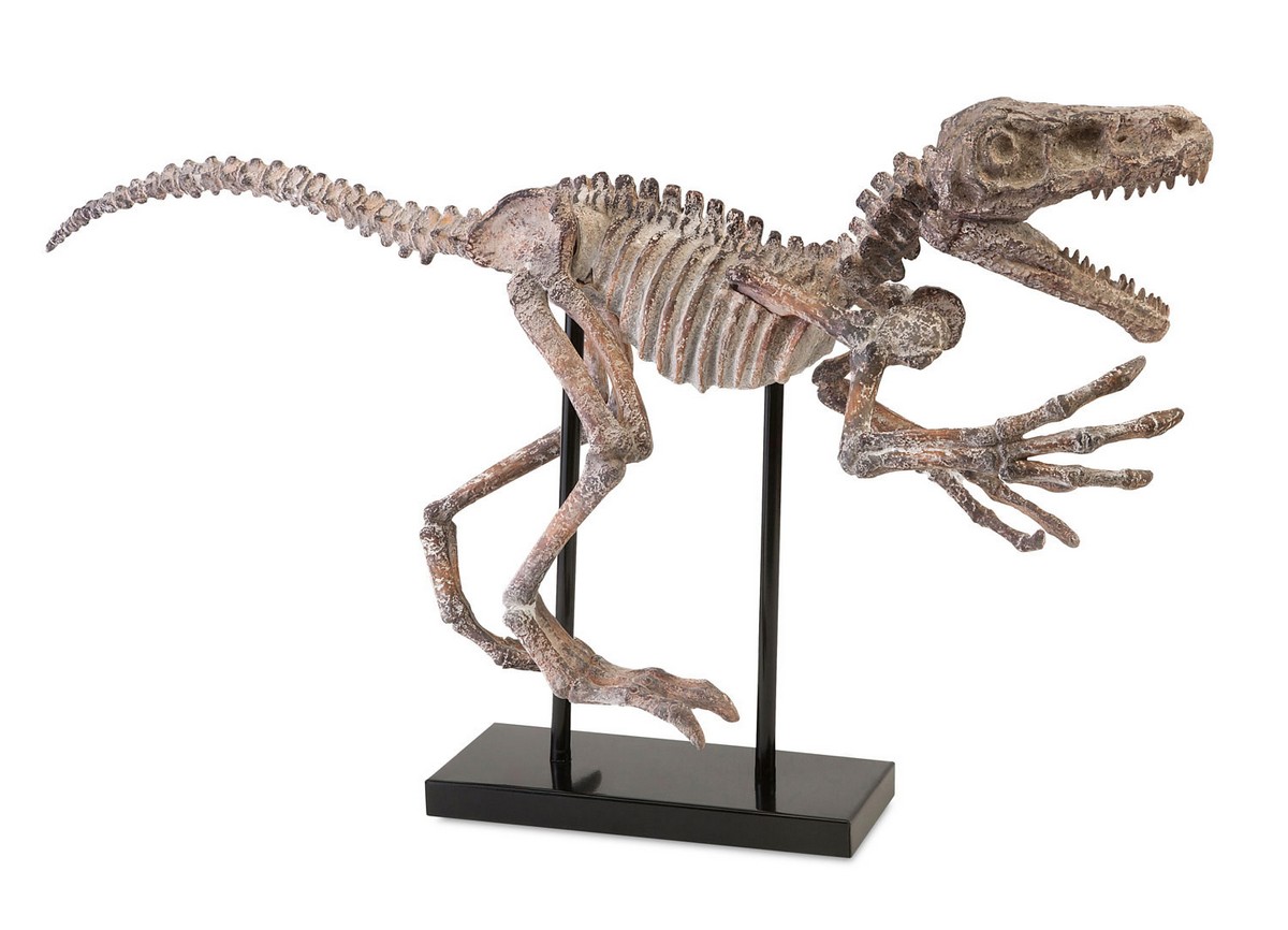 IMAX Borsari Prehistoric Dinosaur