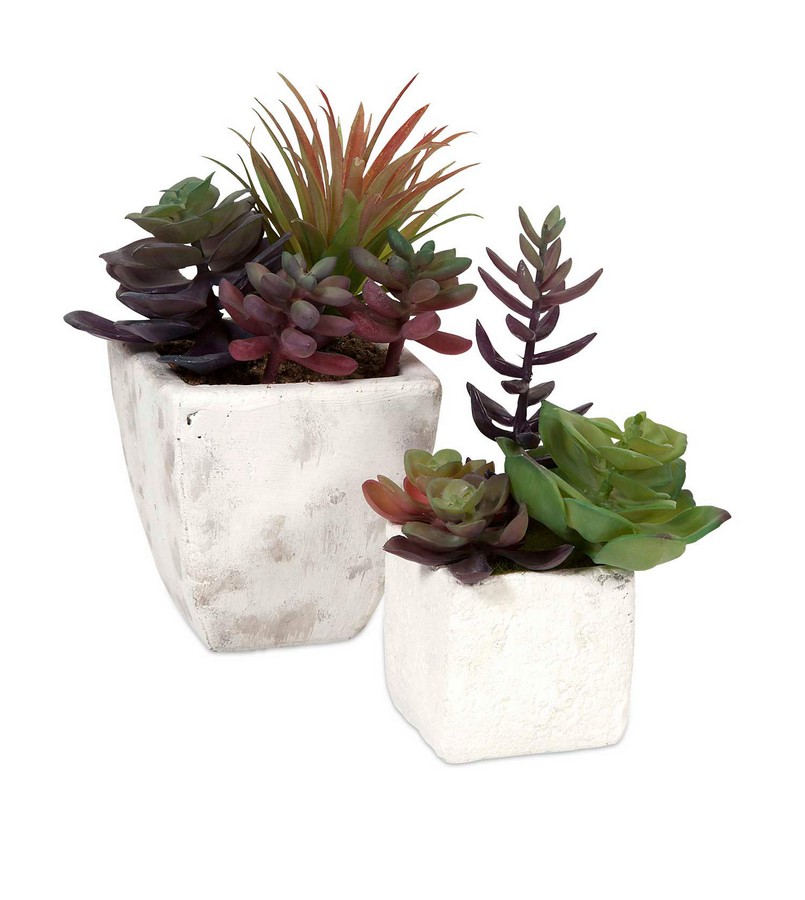 IMAX Wolek Potted Succulents - Set of 2