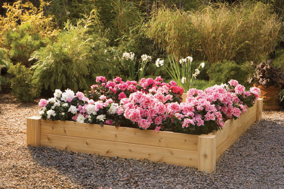 Rustic Cedar Cedar Looks Raised Bed Planter