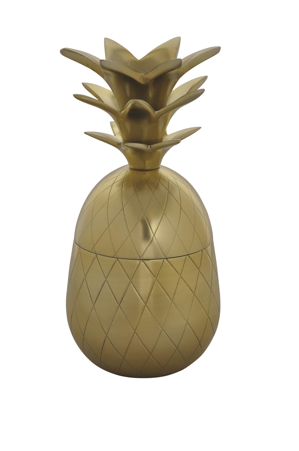 Ren-Wil Pineapple Box Vase - Gold