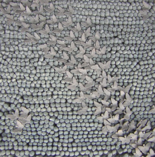 Surya Butterfly BFY-6800 Area Rug Surya Butterfly BFY-6800 Area Rug