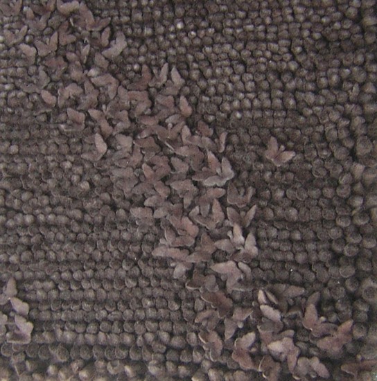Surya Butterfly BFY-6801 Area Rug Surya Butterfly BFY-6801 Area Rug