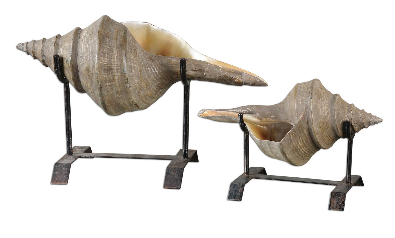 Uttermost Conch Shell Sculpture - Set of 2