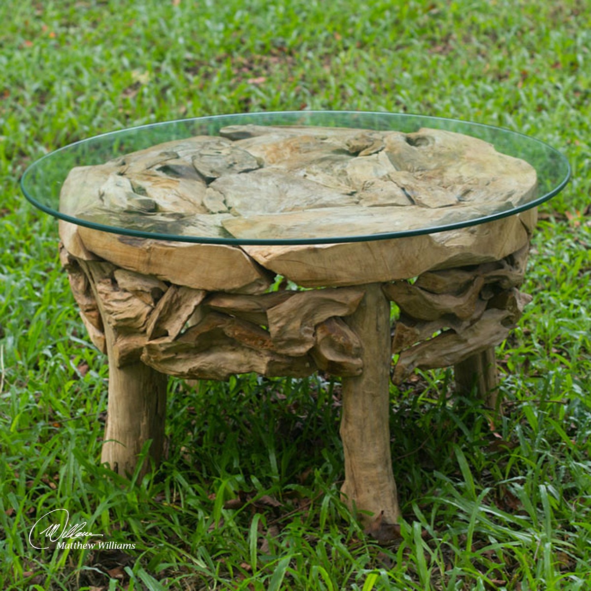Uttermost Teak Root Round Coffee Table