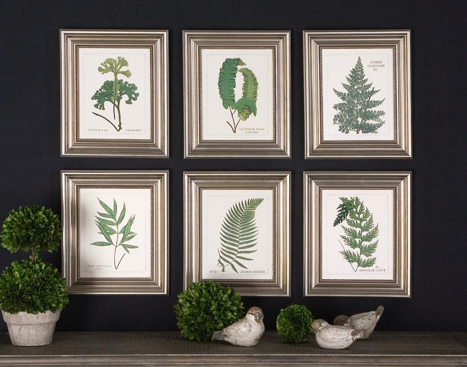 Uttermost Ferns Framed Art - Set of 6