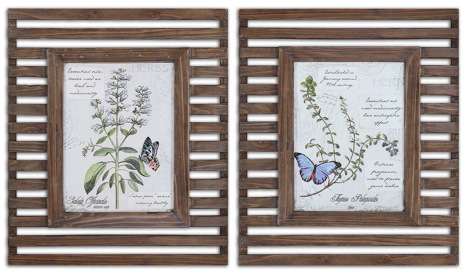 Uttermost Herbs & Butterflies Wood Framed Art