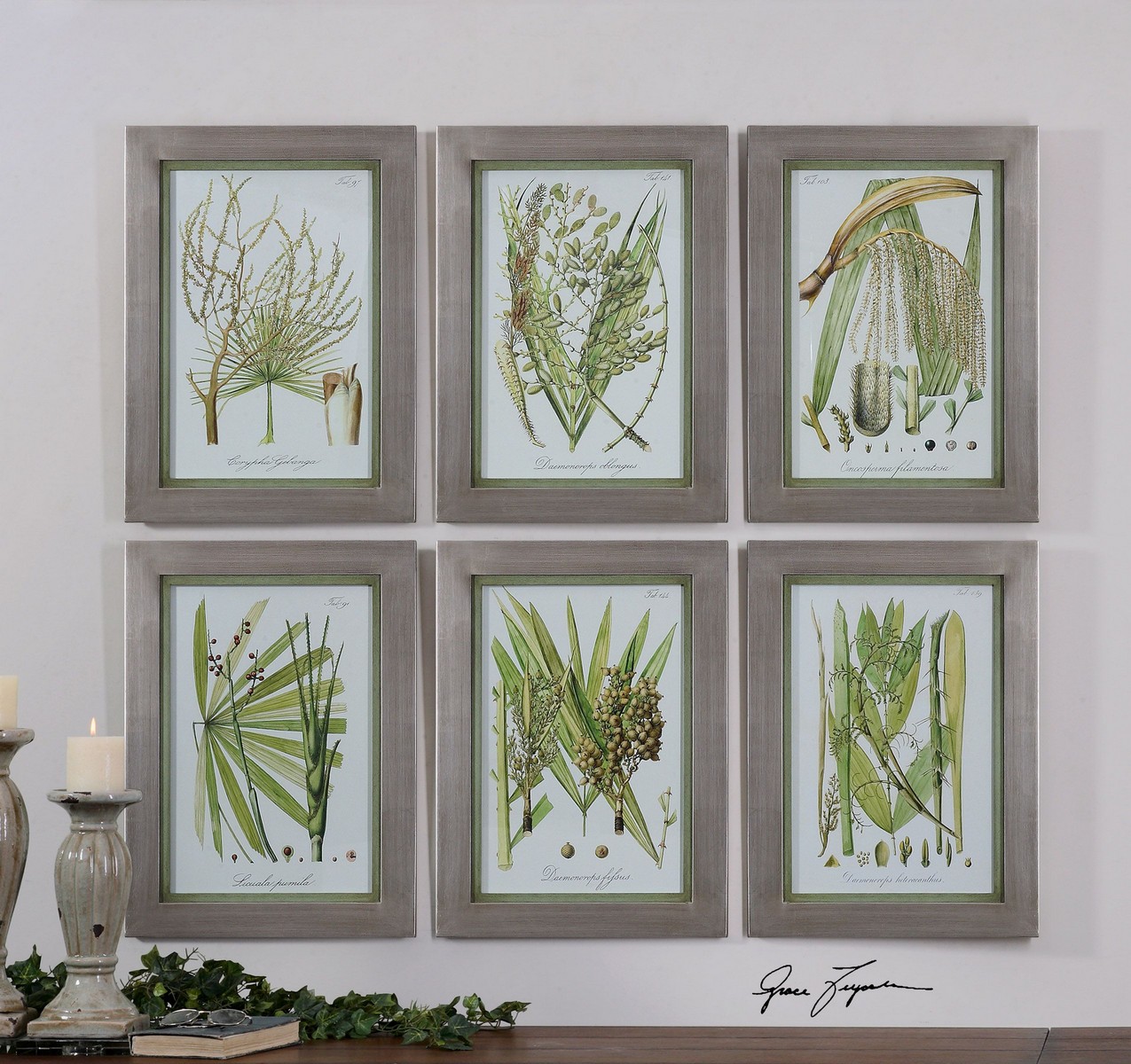 Uttermost Palm Seeds Framed Prints - Set of 6