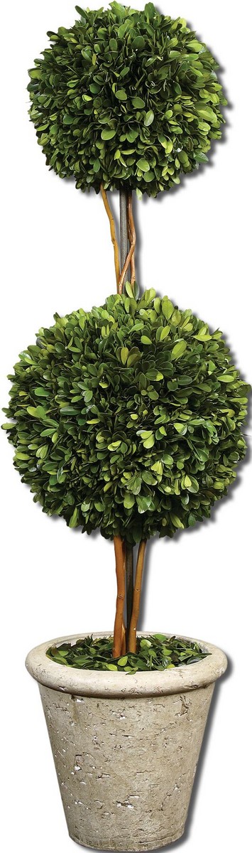 Uttermost Two Sphere Topiary Preserved Boxwood