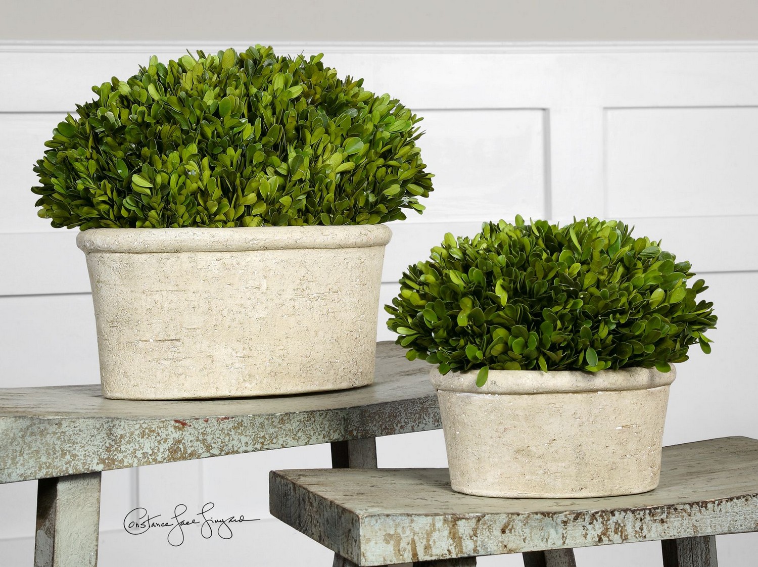 Uttermost Oval Domes Preserved Boxwood - Set of 2