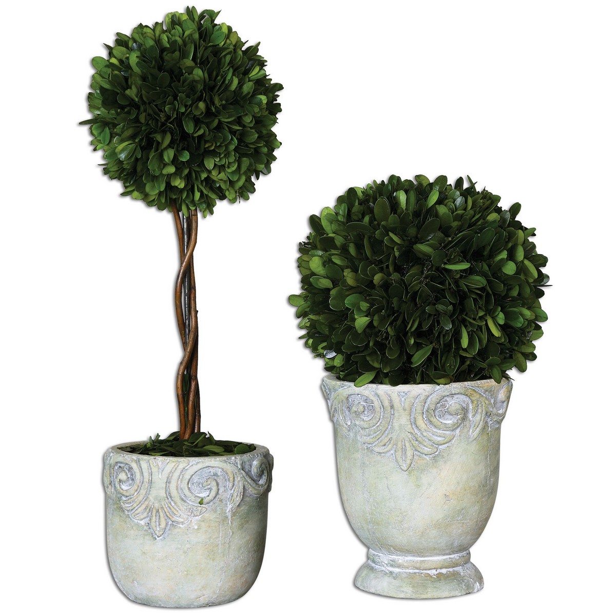 Uttermost Preserved Boxwood Ball Topiaries - Set of 2