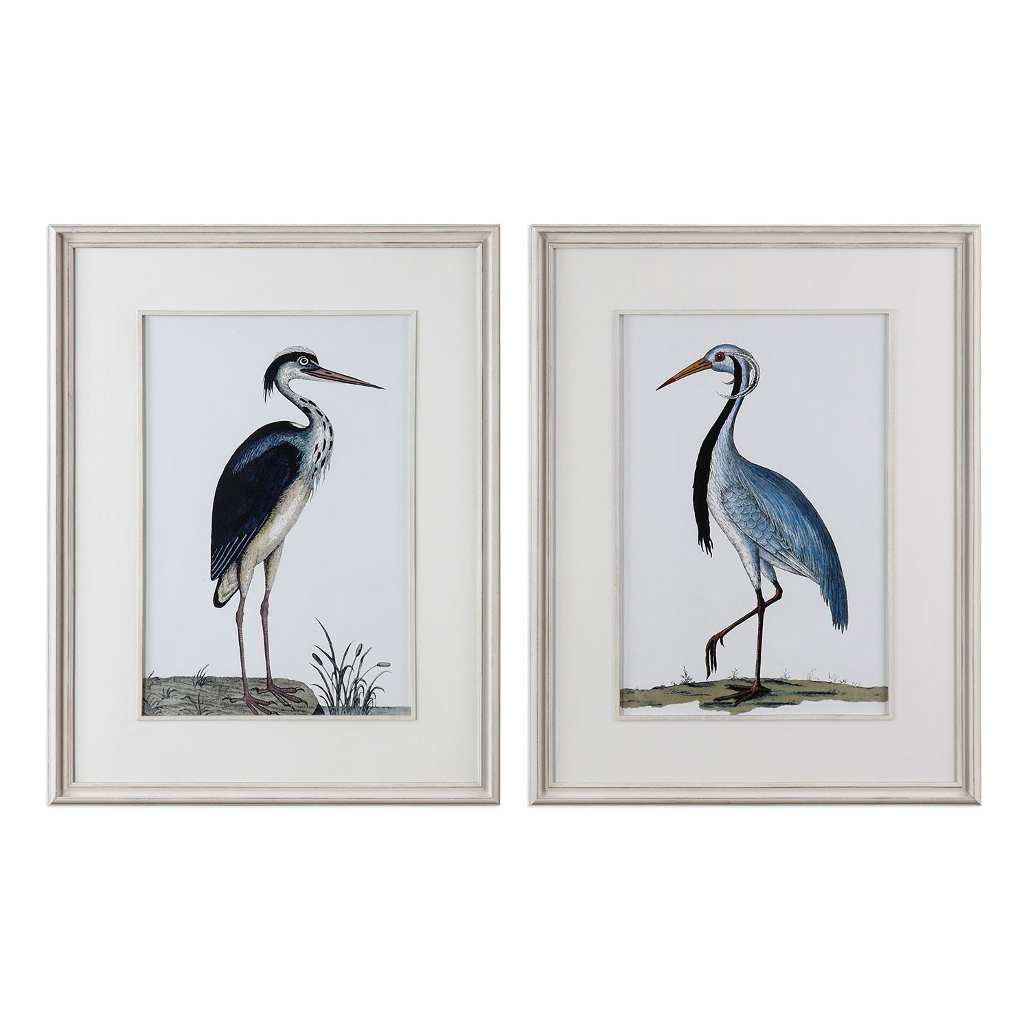 Uttermost Shore Birds Framed Prints - Set of 2