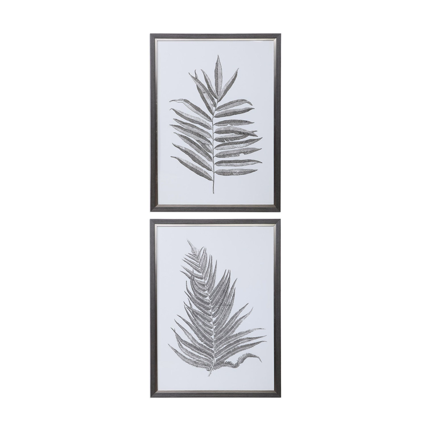 Uttermost Silver Ferns Framed Prints - Set of 2