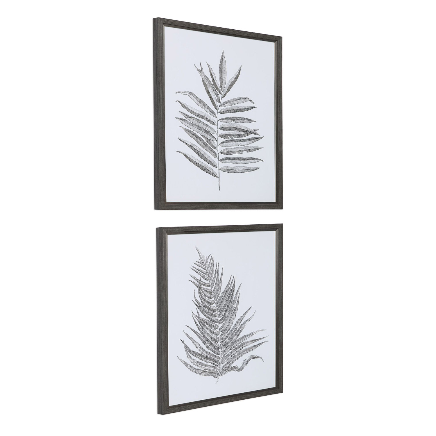 Uttermost Silver Ferns Framed Prints - Set of 2
