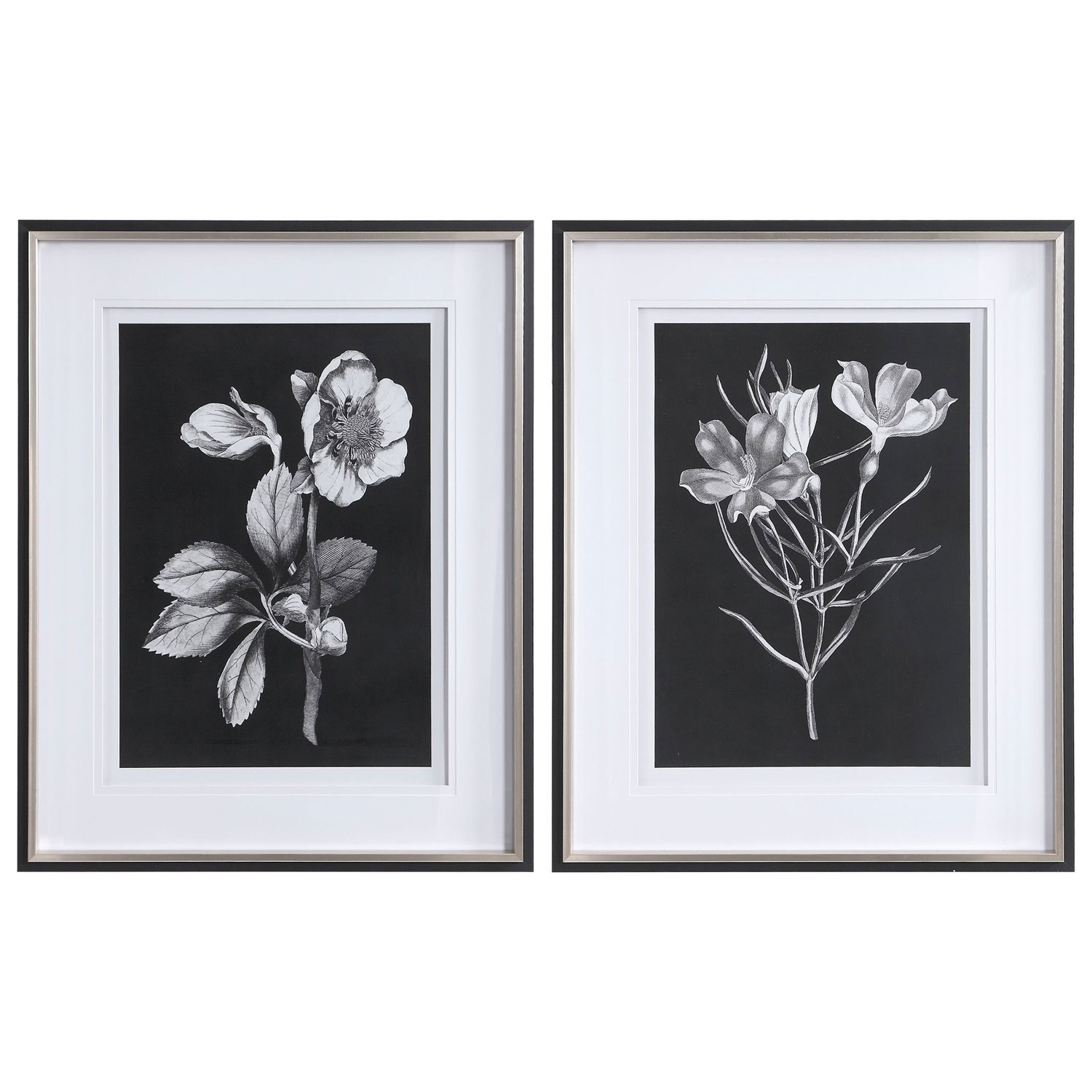 Uttermost Black and White Flowers Framed Prints - Set of 2