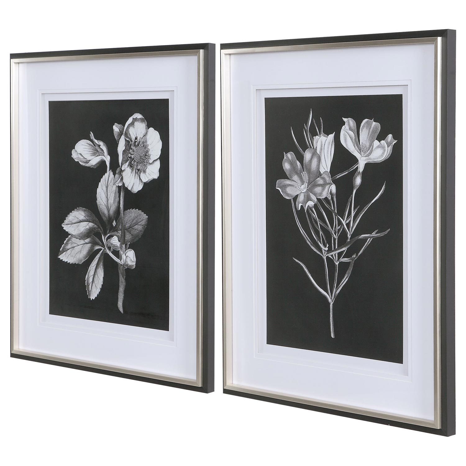 Uttermost Black and White Flowers Framed Prints - Set of 2