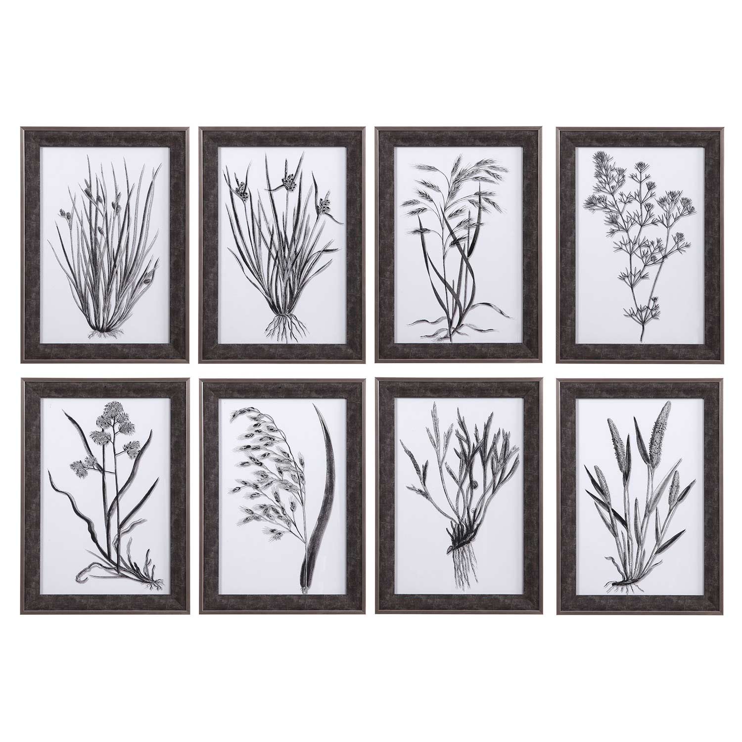 Uttermost Classic Botany Framed Prints - Set of 8