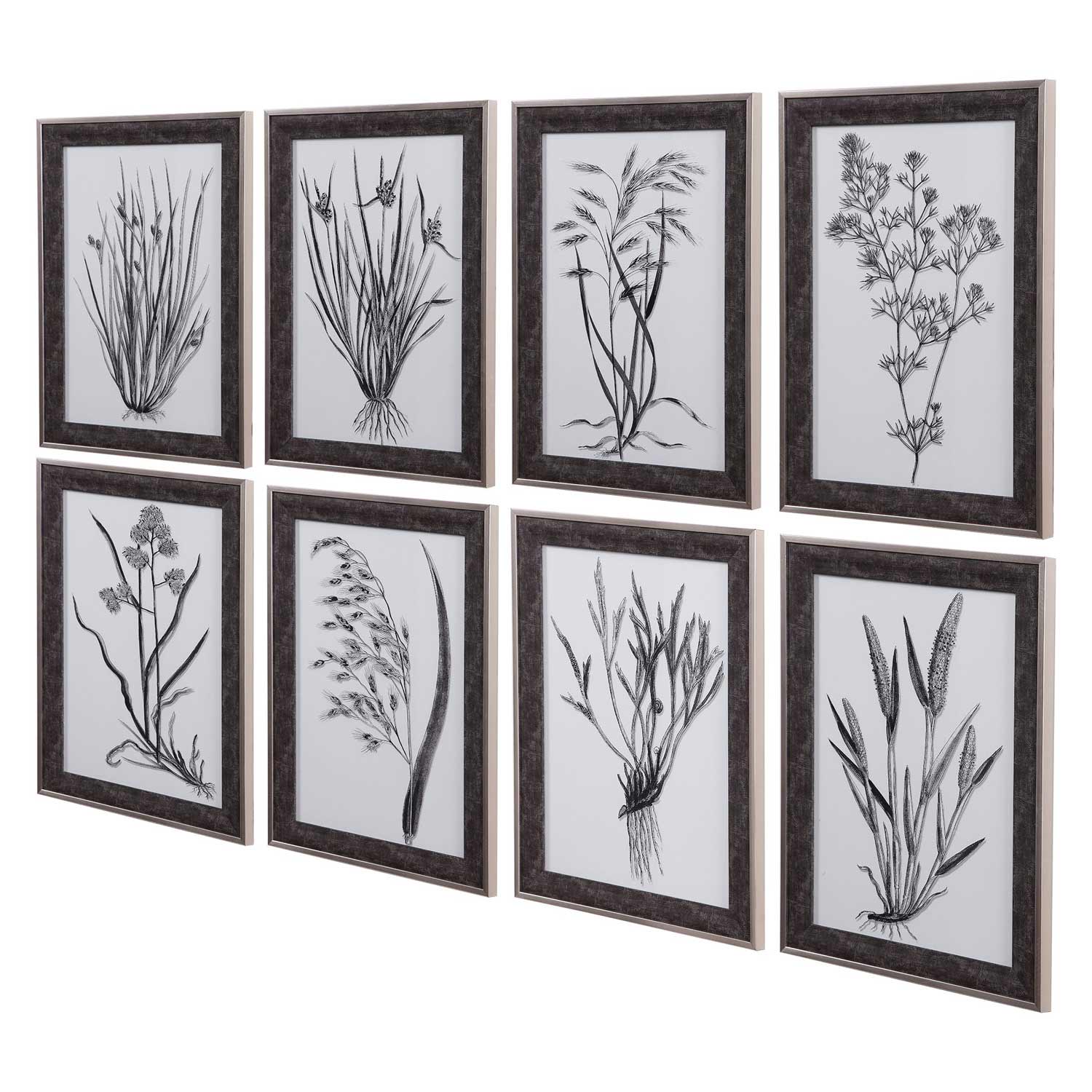 Uttermost Classic Botany Framed Prints - Set of 8