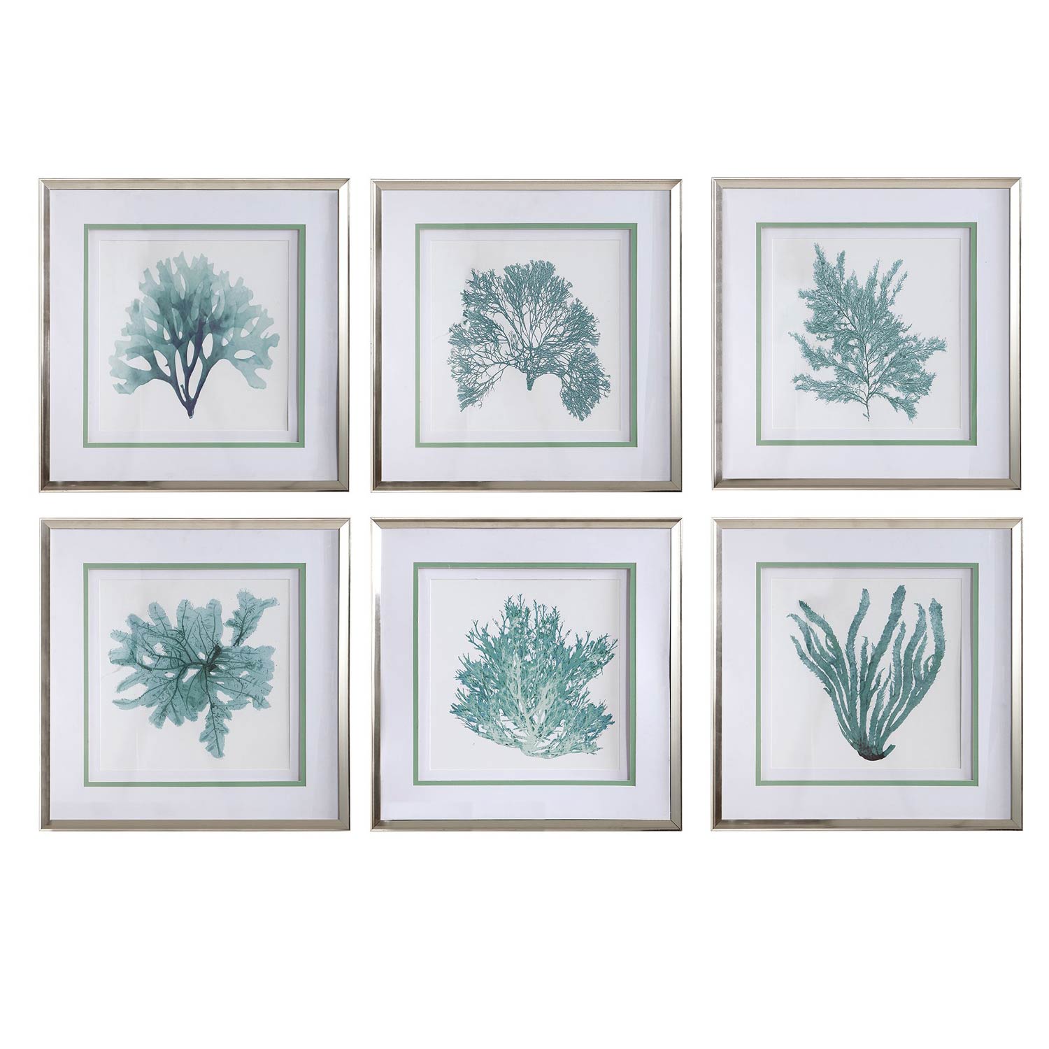 Uttermost Coral Reef Framed Prints - Set of 6