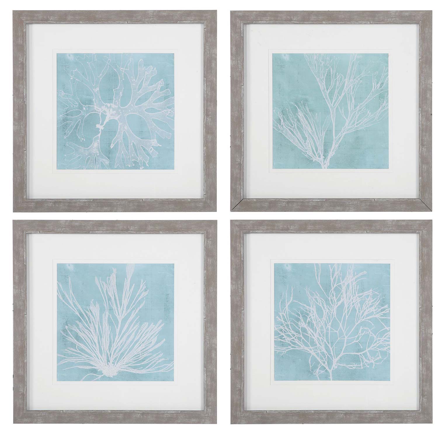 Uttermost Seaweed On Aqua Framed Prints S/4