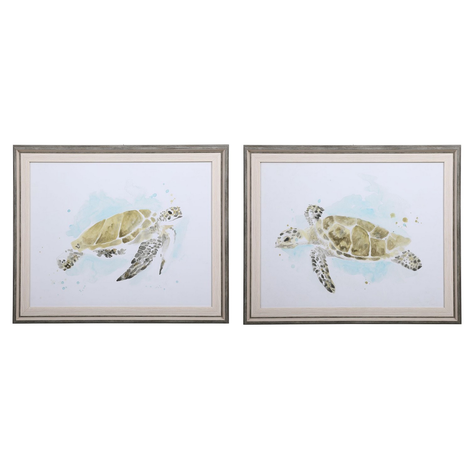 Uttermost Sea Turtle Study Watercolor Prints - Set of 2