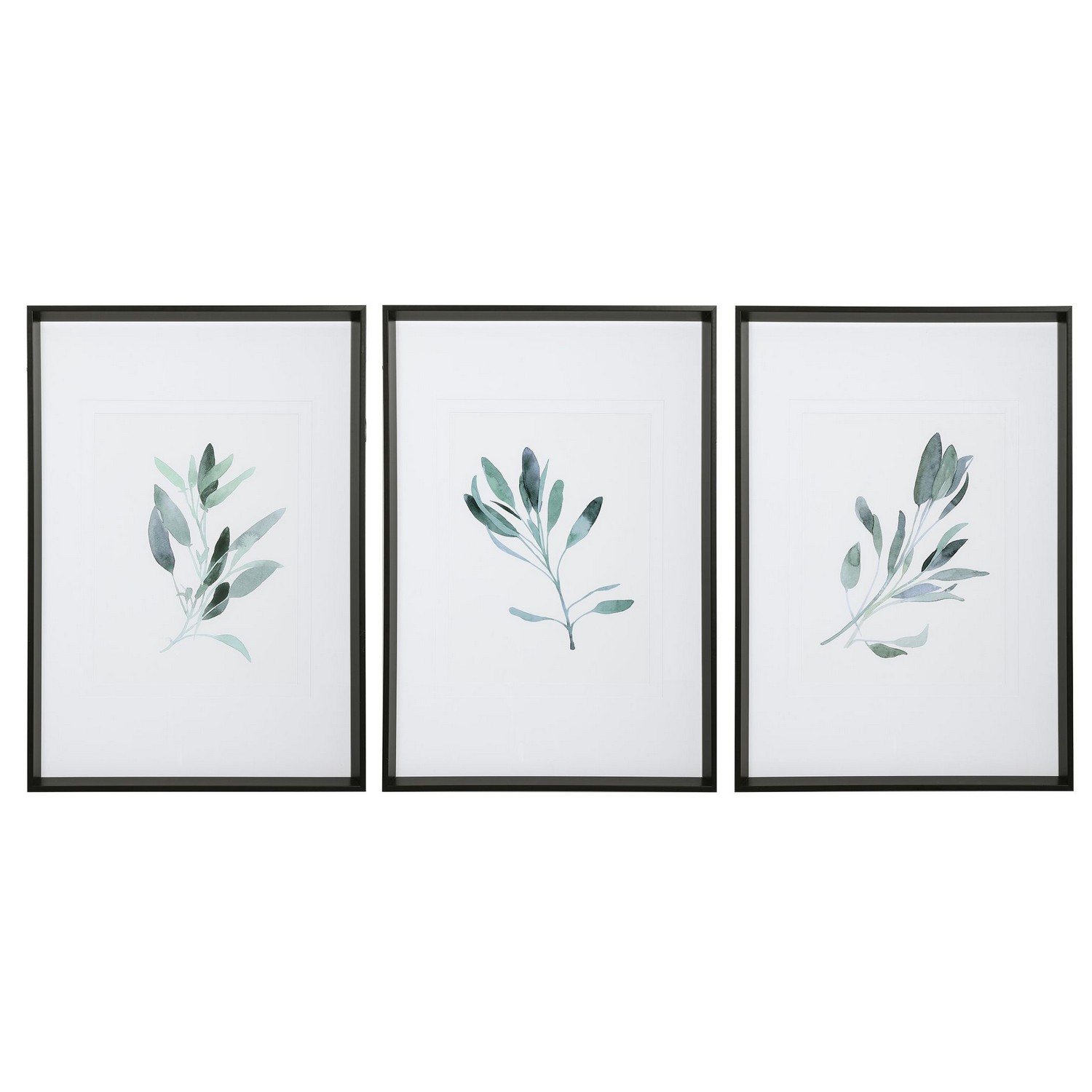 Uttermost Simple Sage Watercolor Prints - Set of 3