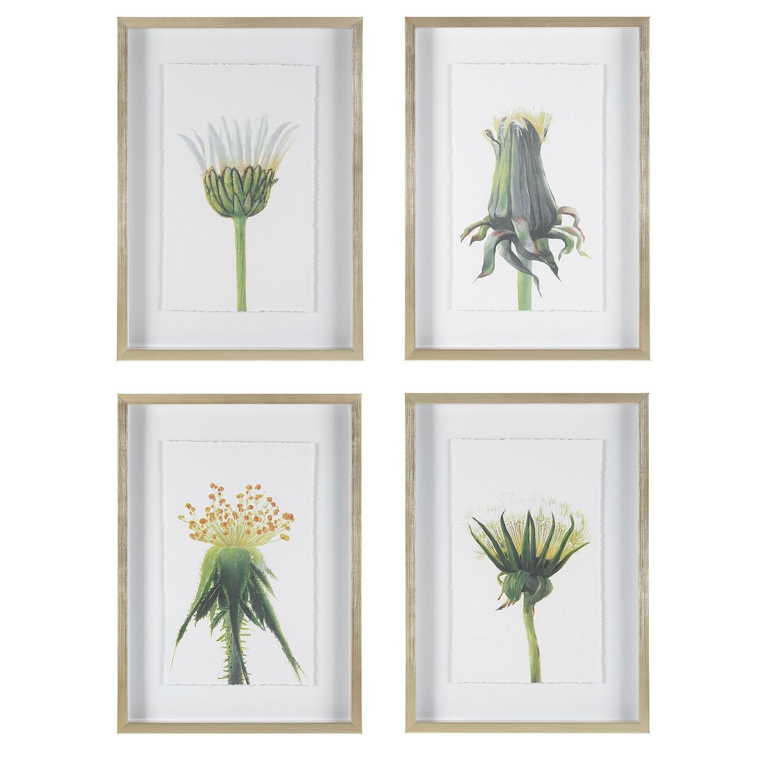Uttermost Wildflowers Gold Framed Prints - Set of 4