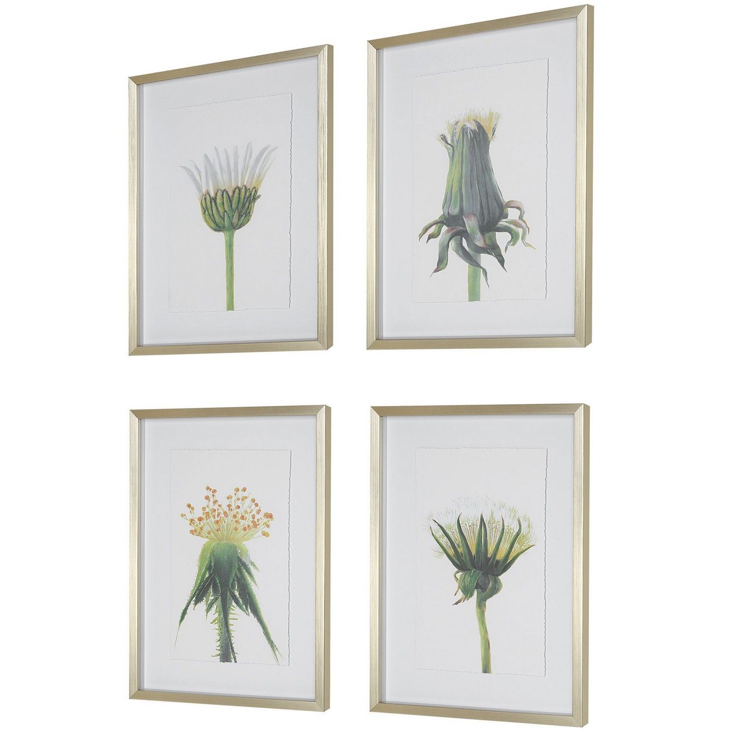 Uttermost Wildflowers Gold Framed Prints - Set of 4