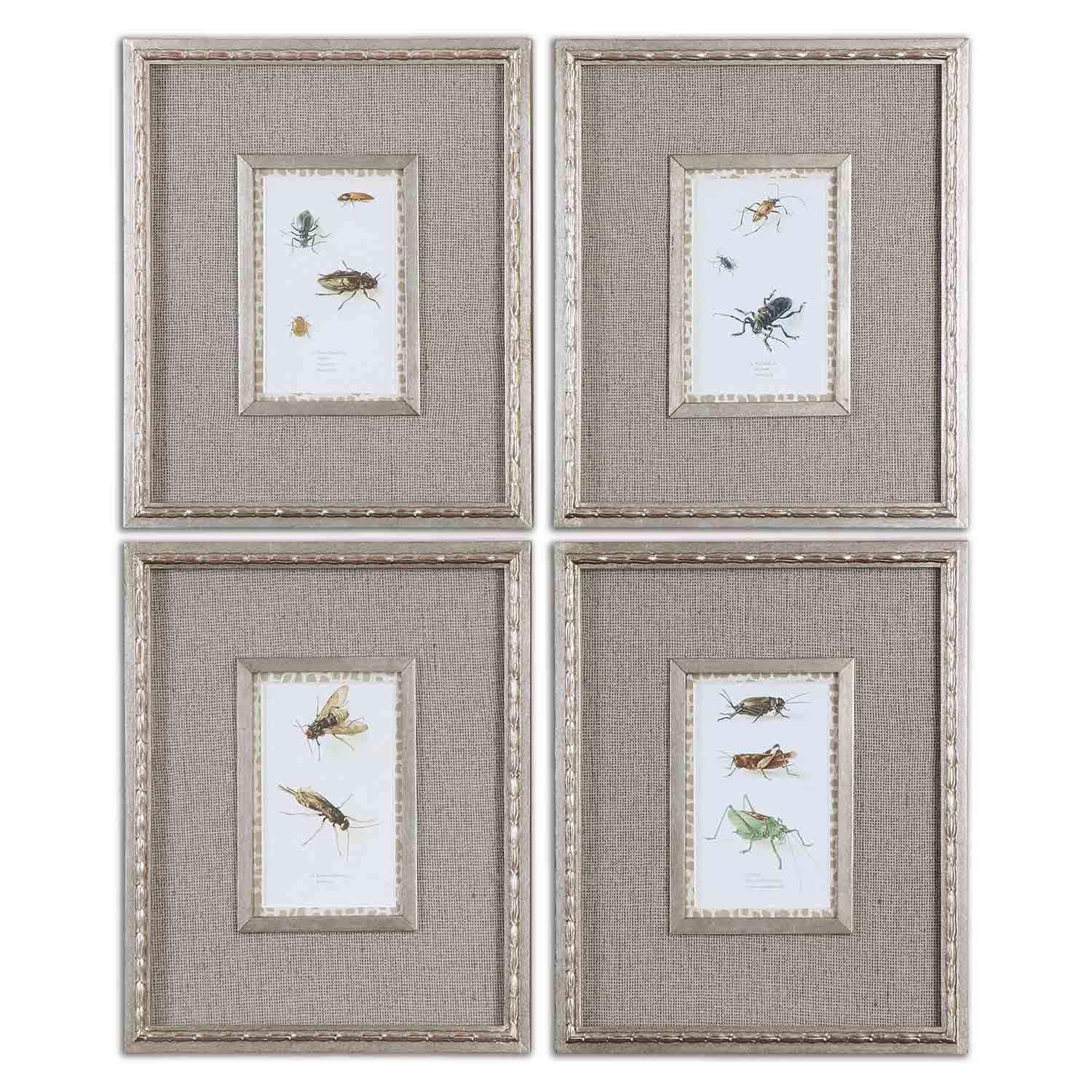 Uttermost Insect Study Set of 4