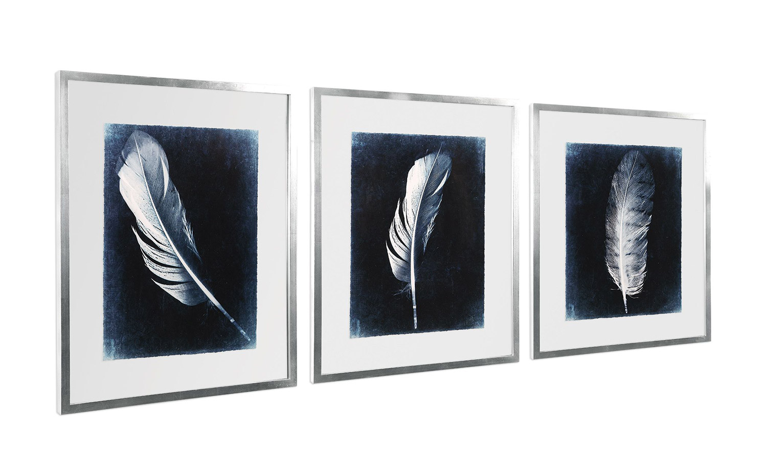 Uttermost Inverted Feathers Prints - Set of 3