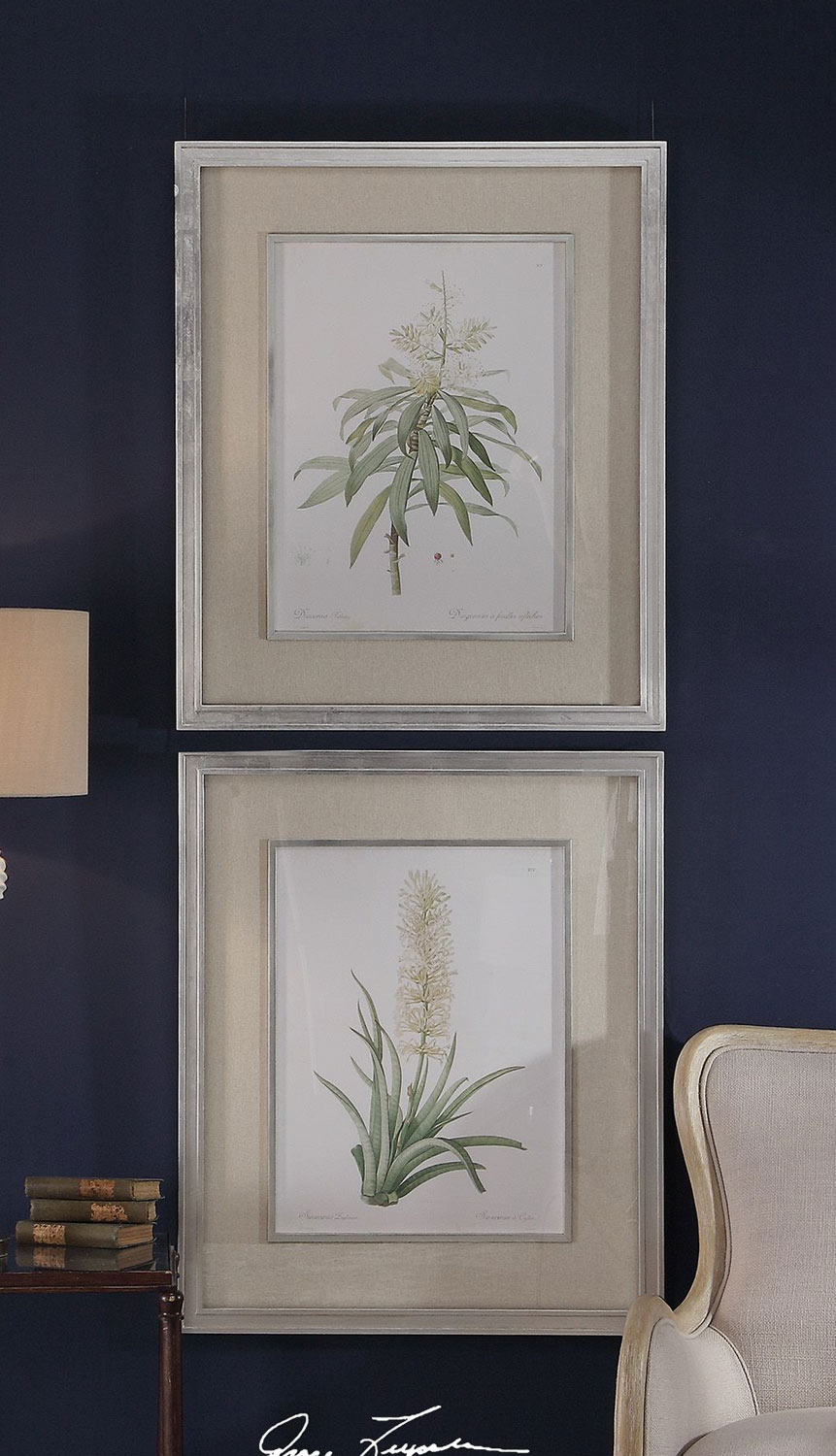Uttermost Plant Study Framed Prints - Set of 2