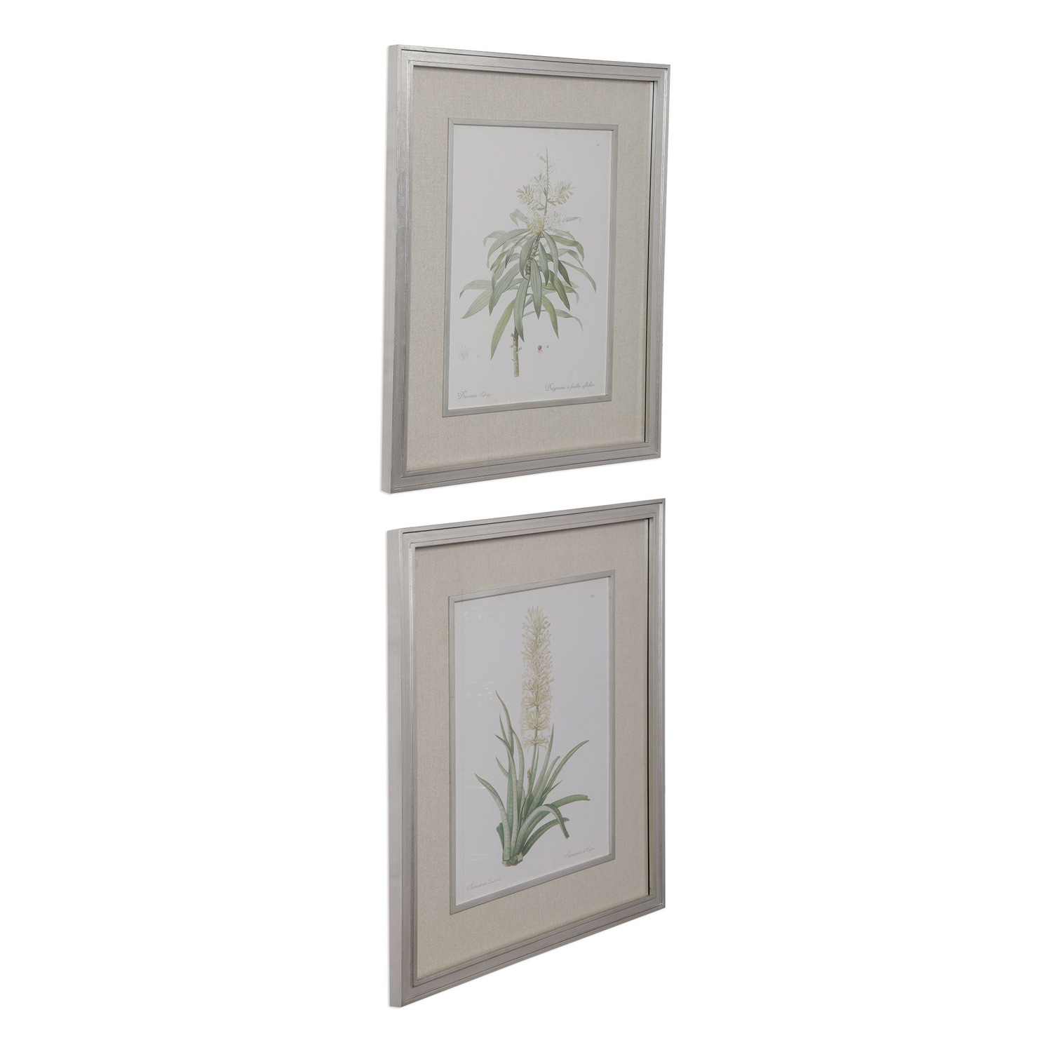 Uttermost Plant Study Framed Prints - Set of 2