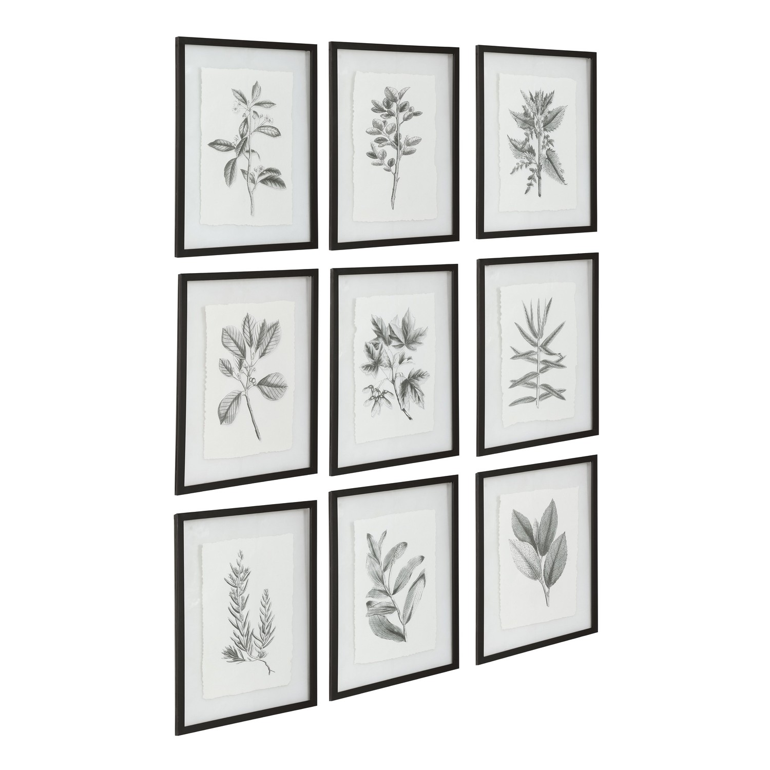 Uttermost Farmhouse Florals Framed Prints - Set of 9