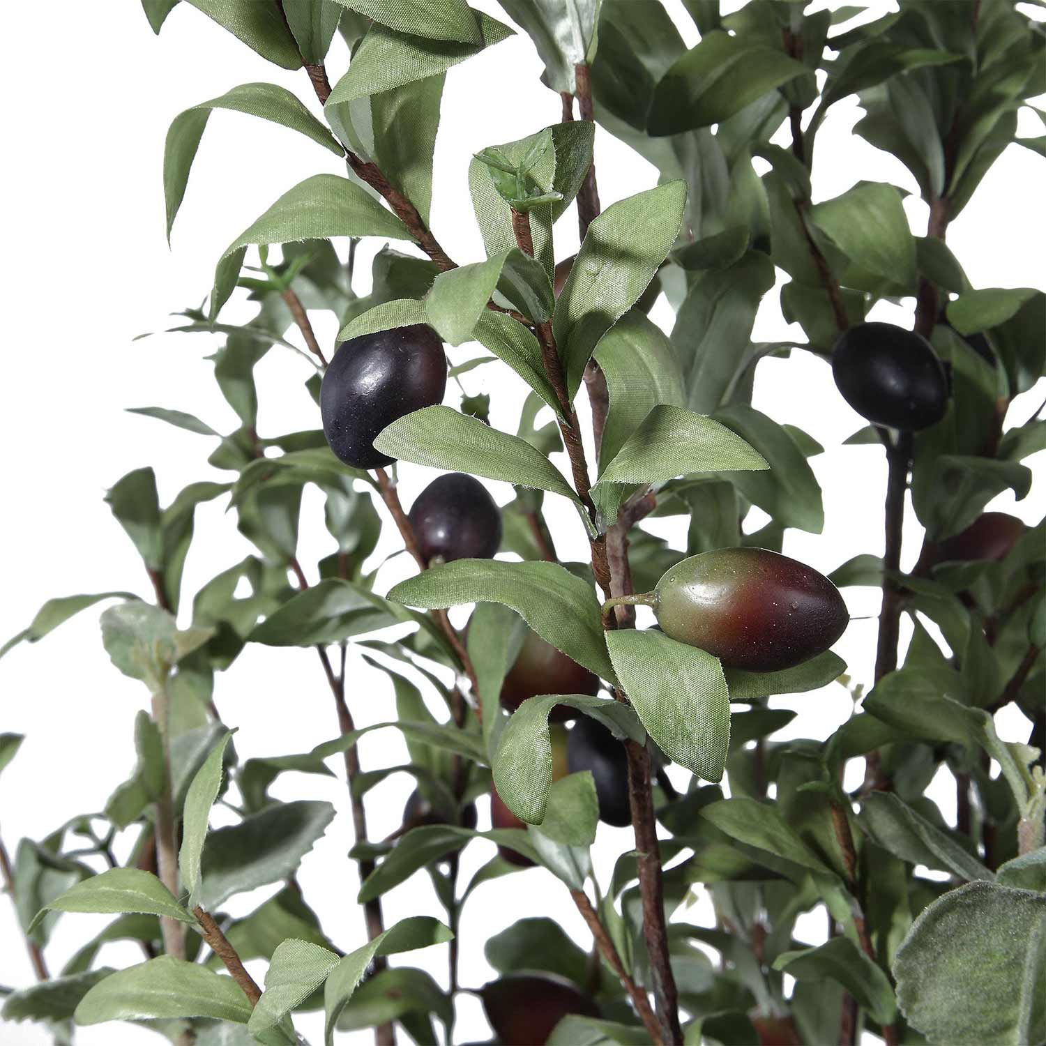 Uttermost Tassos Potted Olive