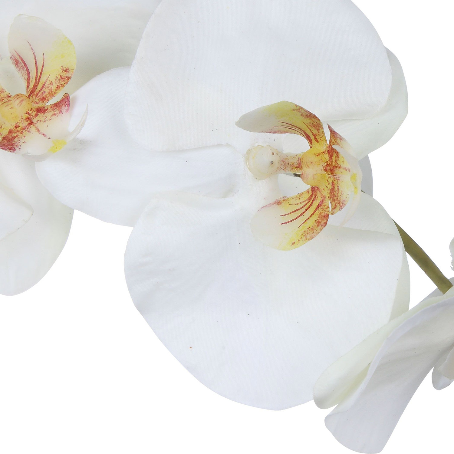 Uttermost Eponine Orchid - White