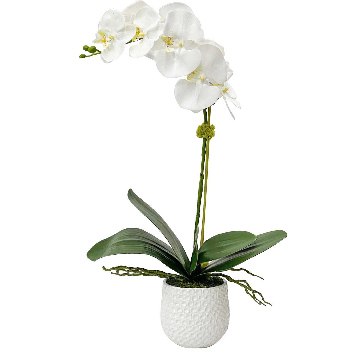 Uttermost Cami White Orchid