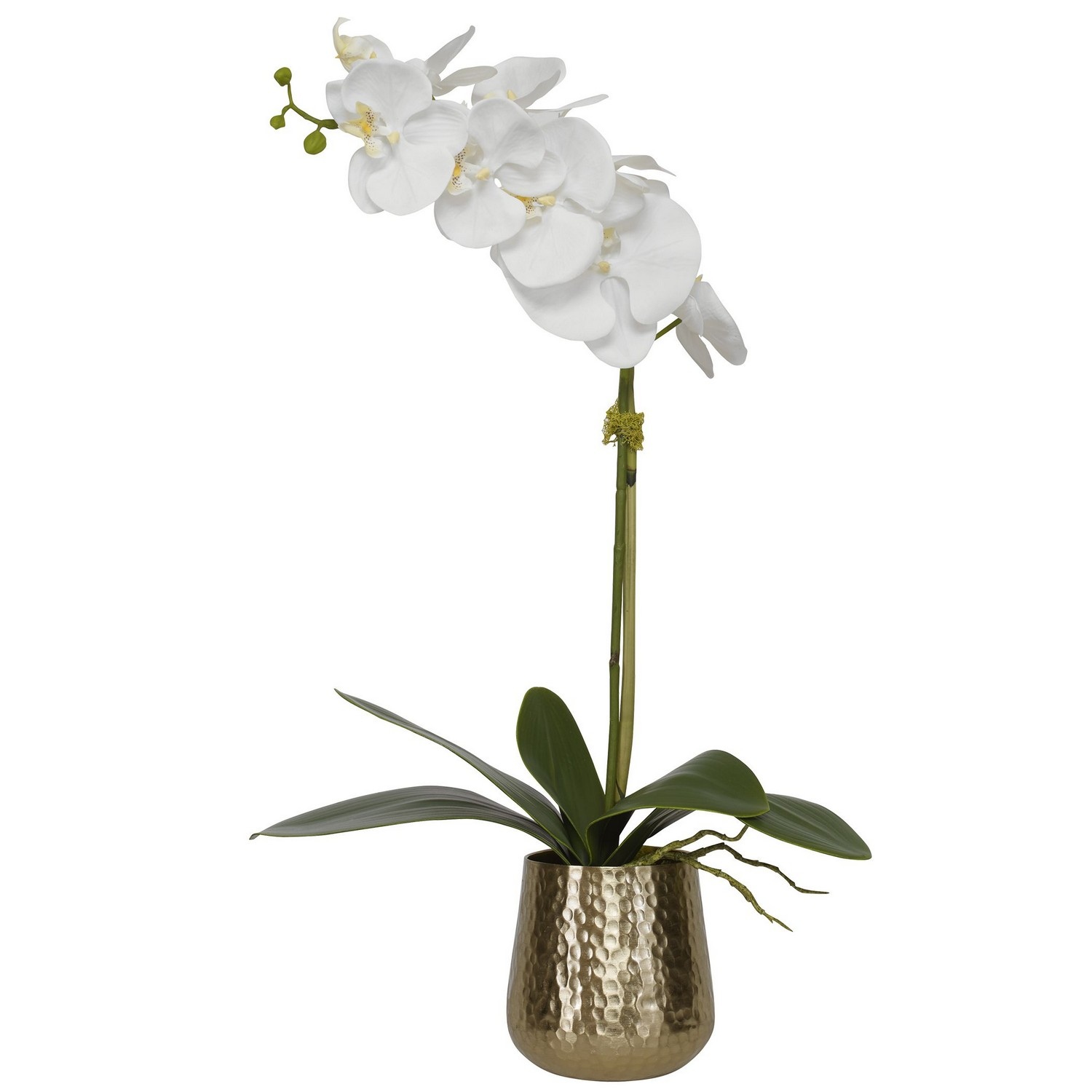 Uttermost Cami Orchid Pot - Brass