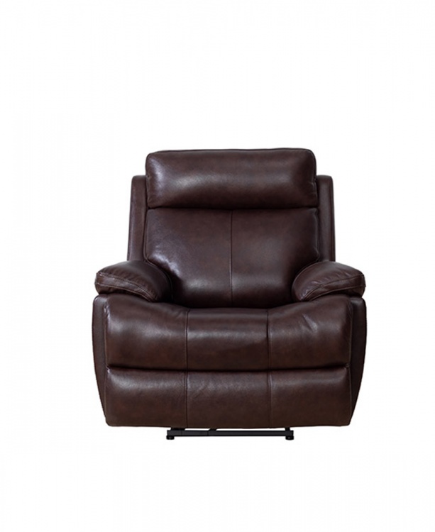 Bryce Power Recliner Chair with Power Head Rest and Lumbar - Ryegate Fudge/Leather Match