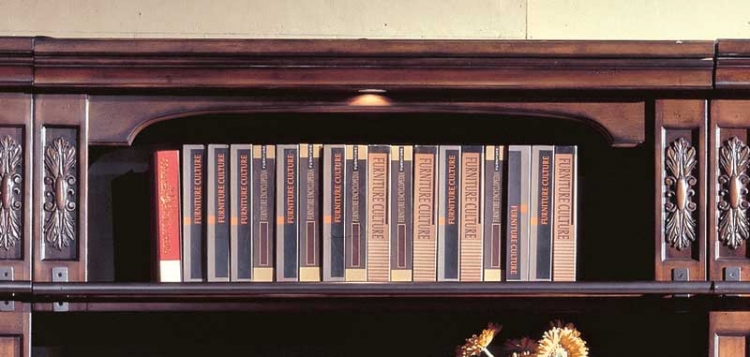 Parker House DaVinci 48in Bookcase Bridge-Shelf-Back Panel