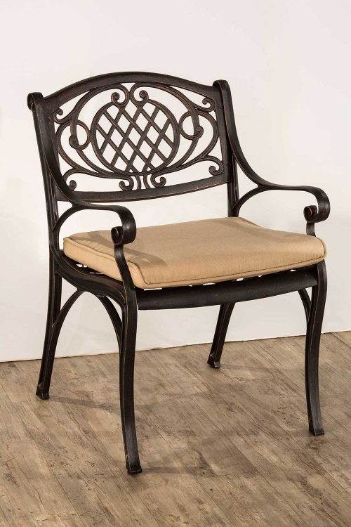 Esterton Indoor/Outdoor Arm Chair - Black/Gold