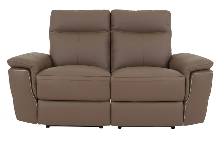 Olympia Power Double Reclining Love Seat - Top Grain Leather Match - Raisin