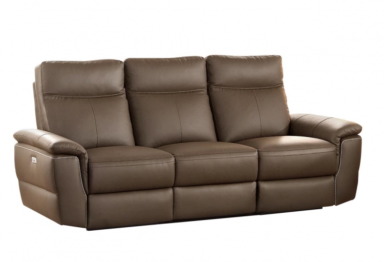 Olympia Power Double Reclining Sofa - Top Grain Leather Match - Raisin