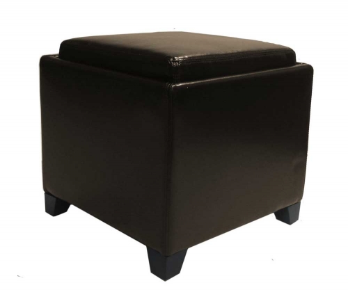Contemporary Storage Ottoman with Tray - Brown