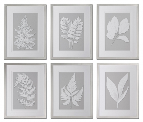 Moonlight Ferns Framed Art - Set of 6
