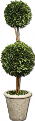 Two Sphere Topiary Preserved Boxwood