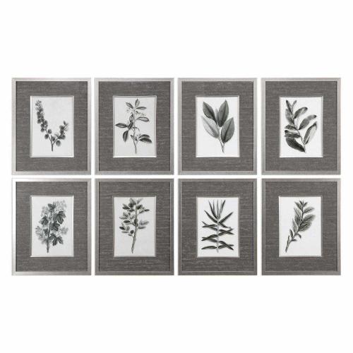 Sepia Gray Leaves Prints - Set of 8